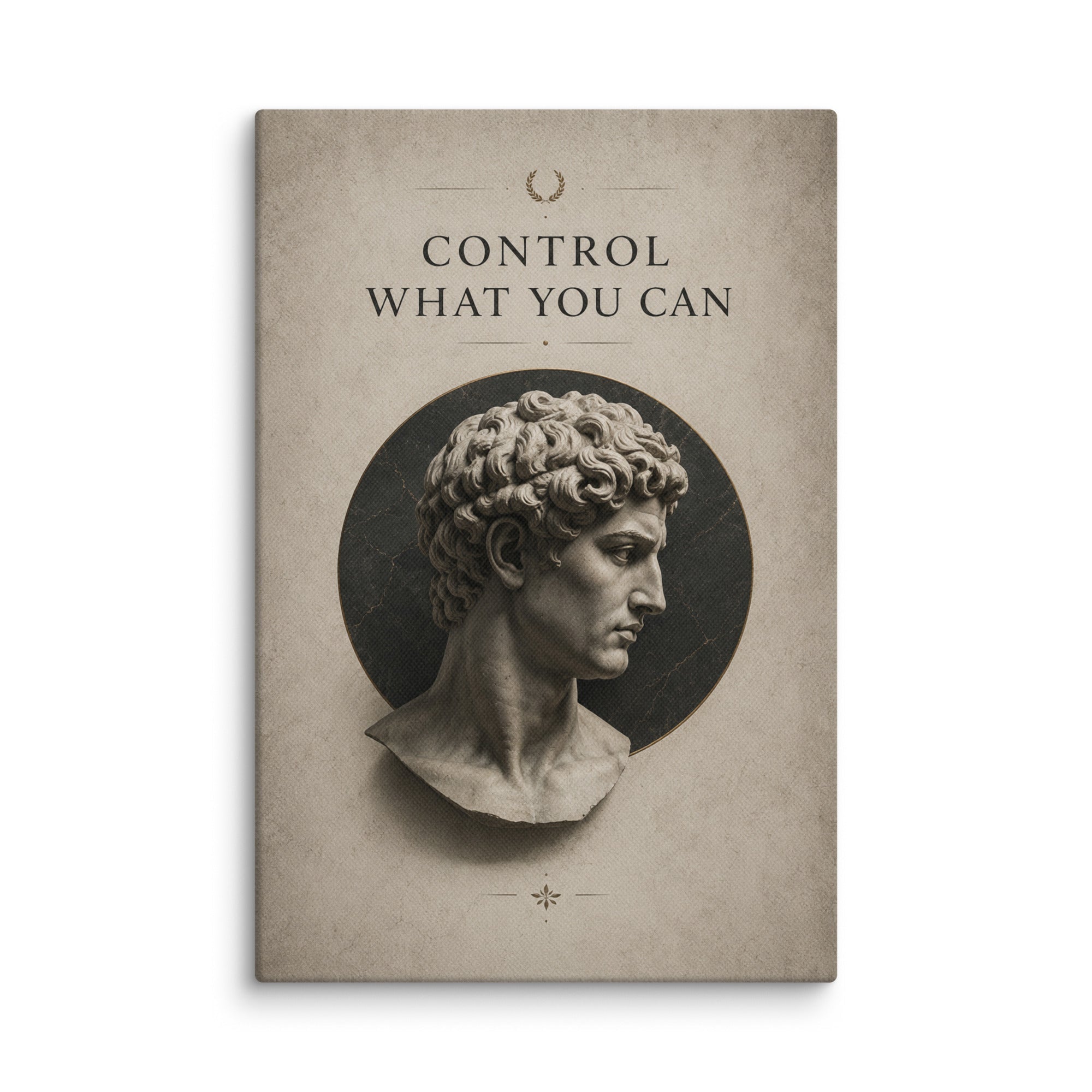 Control What You Can - Ambitioncanvas.com
