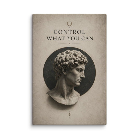 Control What You Can - Ambitioncanvas.com