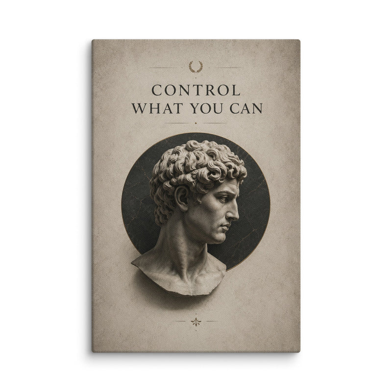 Control What You Can - Ambitioncanvas.com