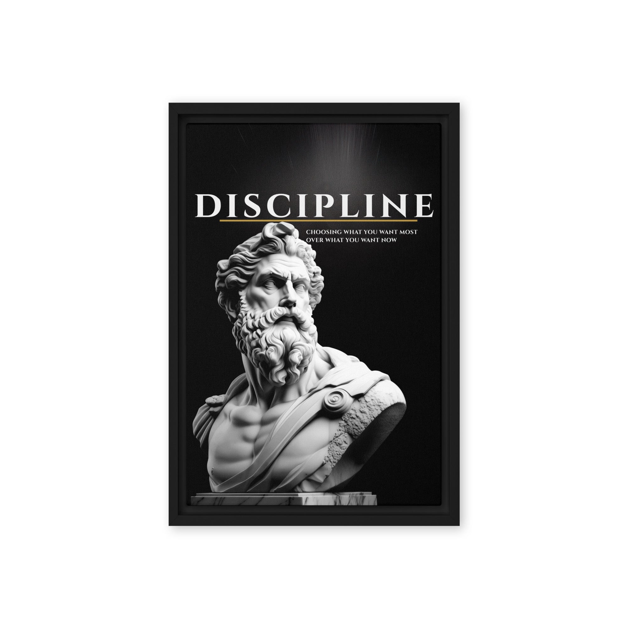 Discipline - Ambitioncanvas.com