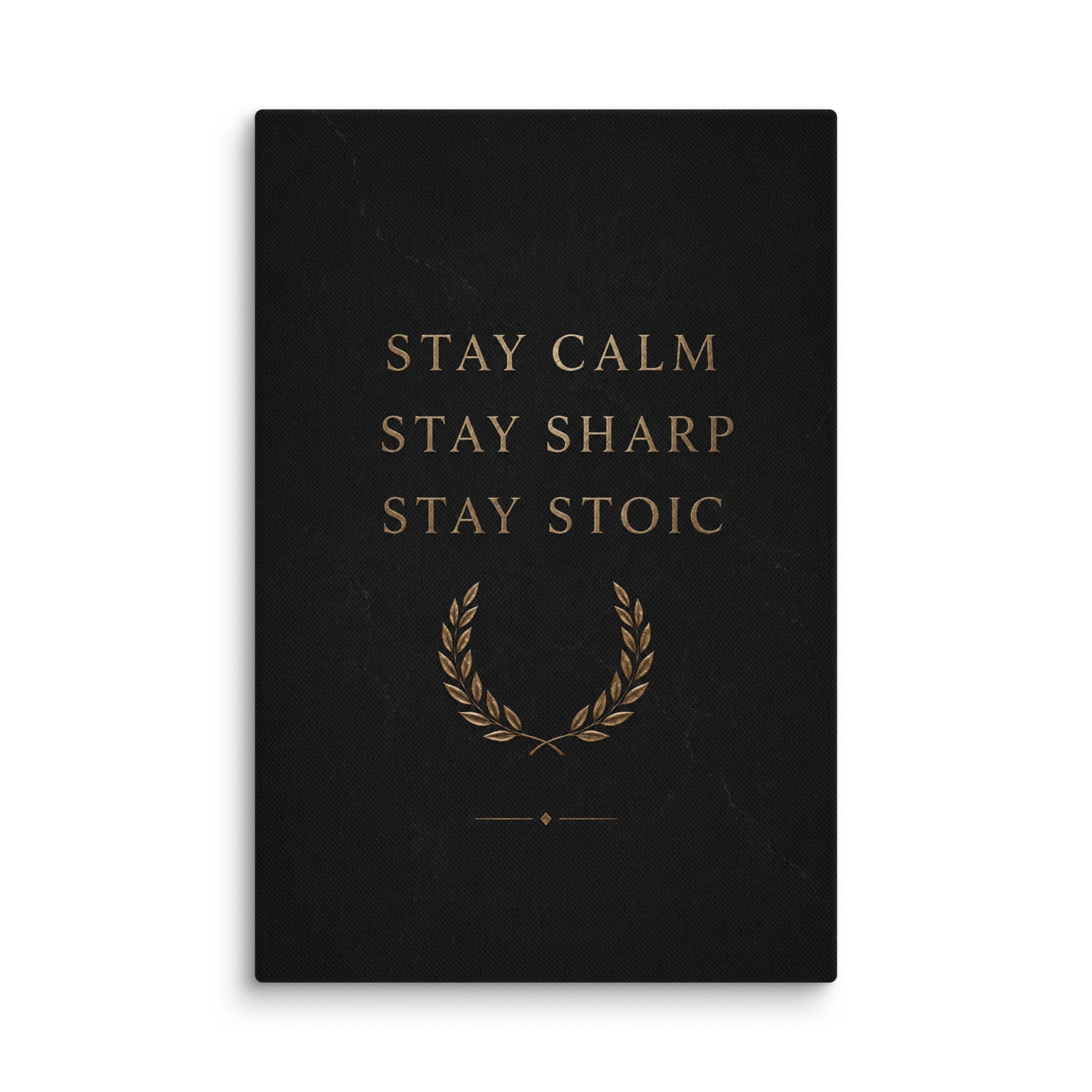 Stay Stoic - Ambitioncanvas.com