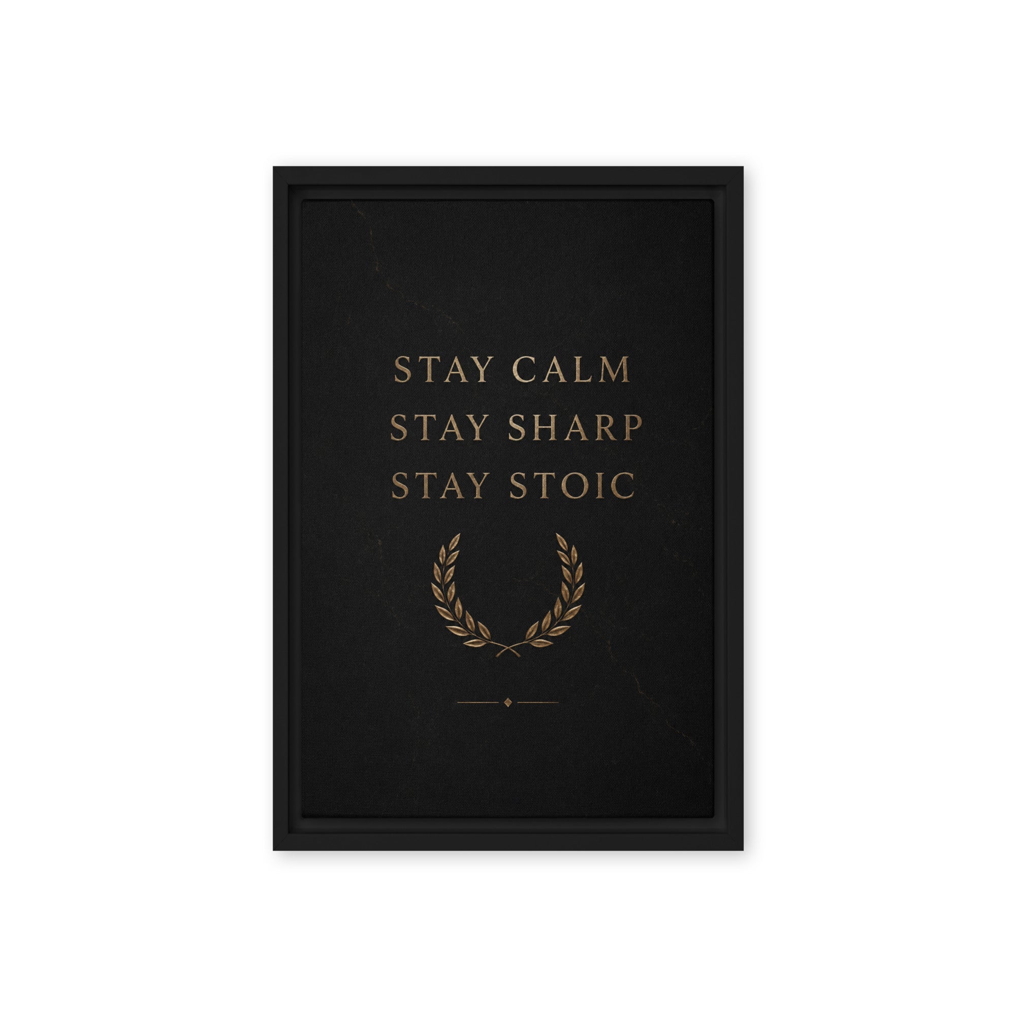 Stay Stoic - Ambitioncanvas.com