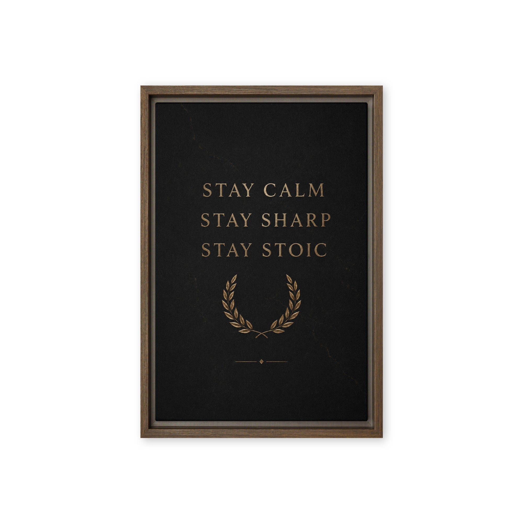 Stay Stoic - Ambitioncanvas.com