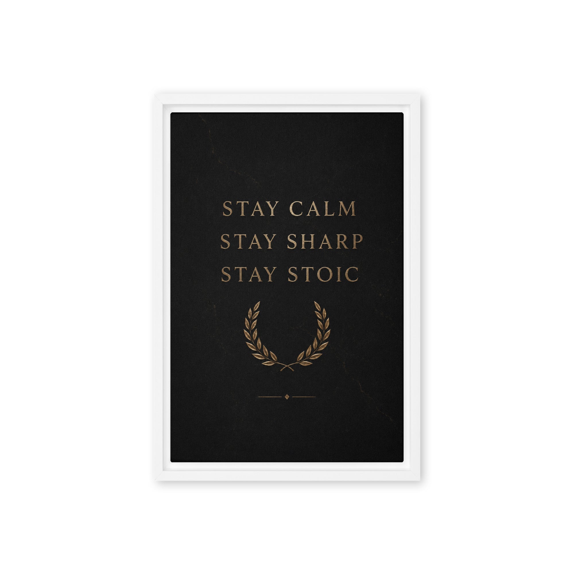 Stay Stoic - Ambitioncanvas.com