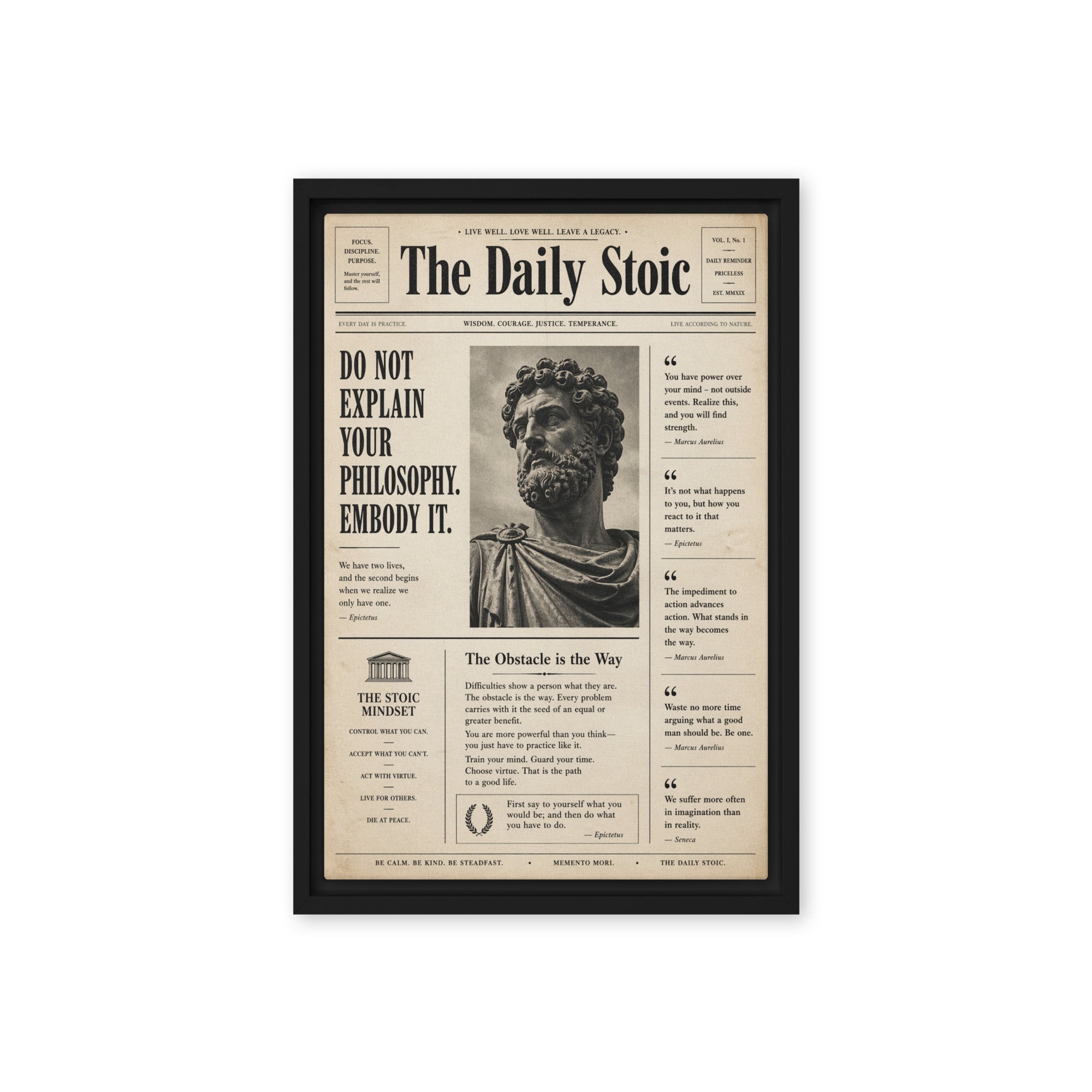 The Daily Stoic - Ambitioncanvas.com